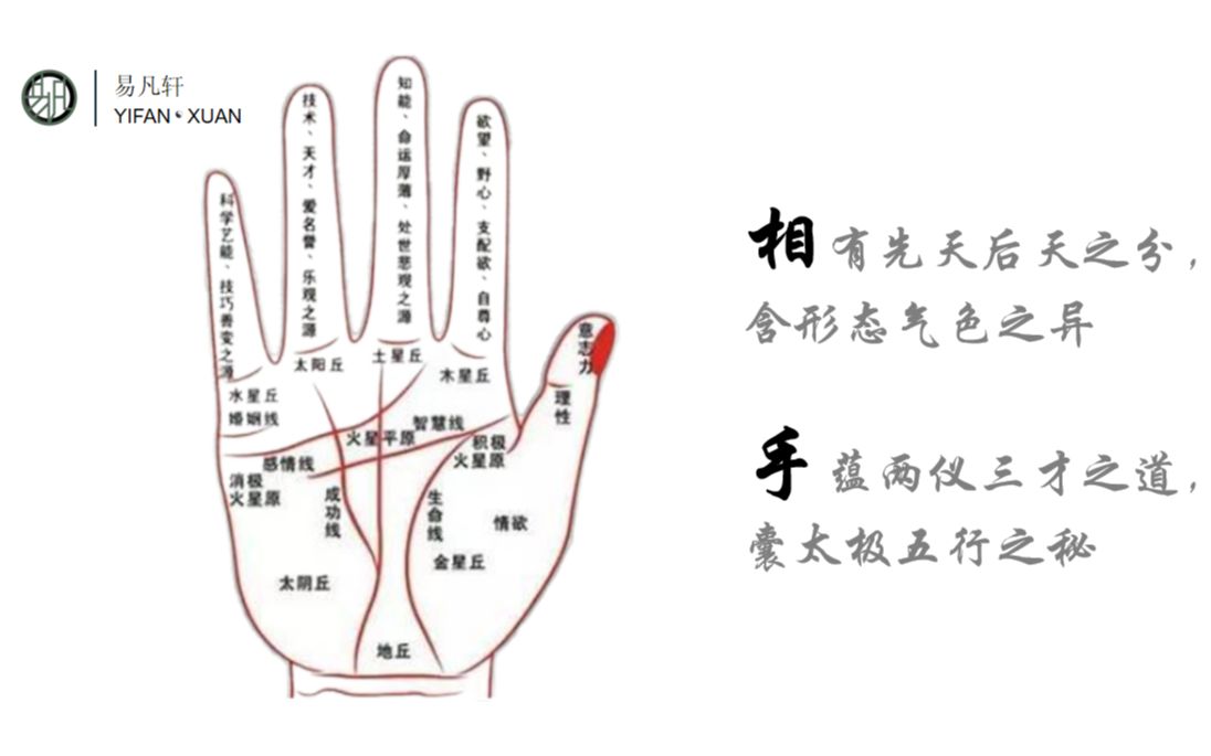 手相三才纹哔哩哔哩bilibili