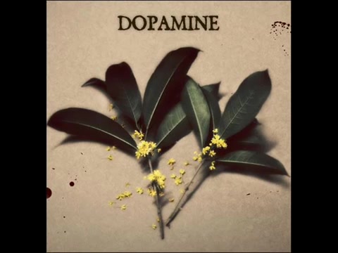 dopamine迷夜Pt.l哔哩哔哩bilibili