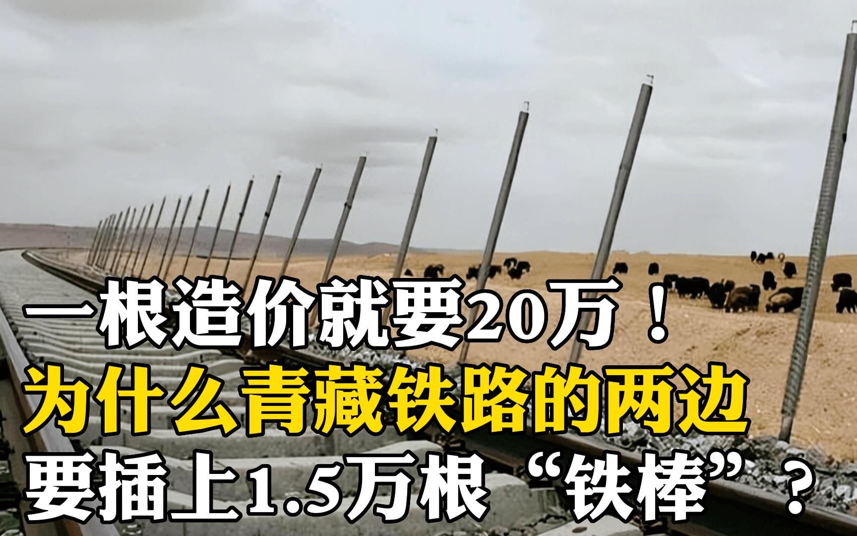 一根造价就要20万!为什么青藏铁路的两边,要插上1.5万根“铁棒”?它到底有何作用?哔哩哔哩bilibili