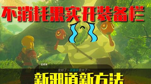 [塞尔达传说]不消耗果实开武器栏新邪道-我