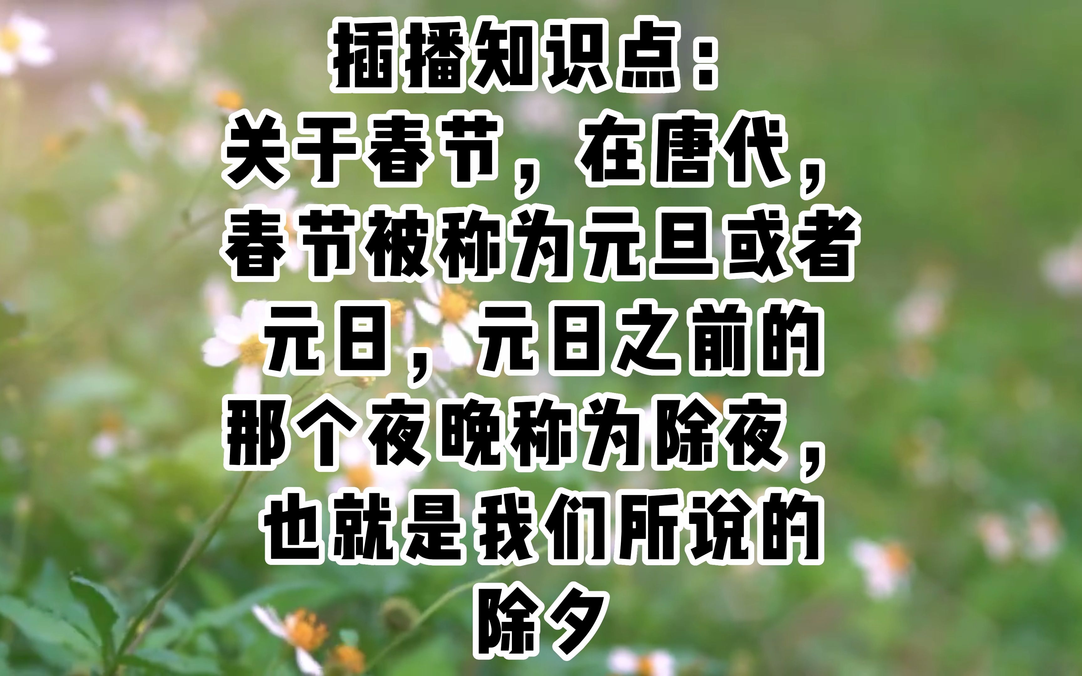 携春节唐诗二首拜年,愿您在兔年得偿所愿!哔哩哔哩bilibili