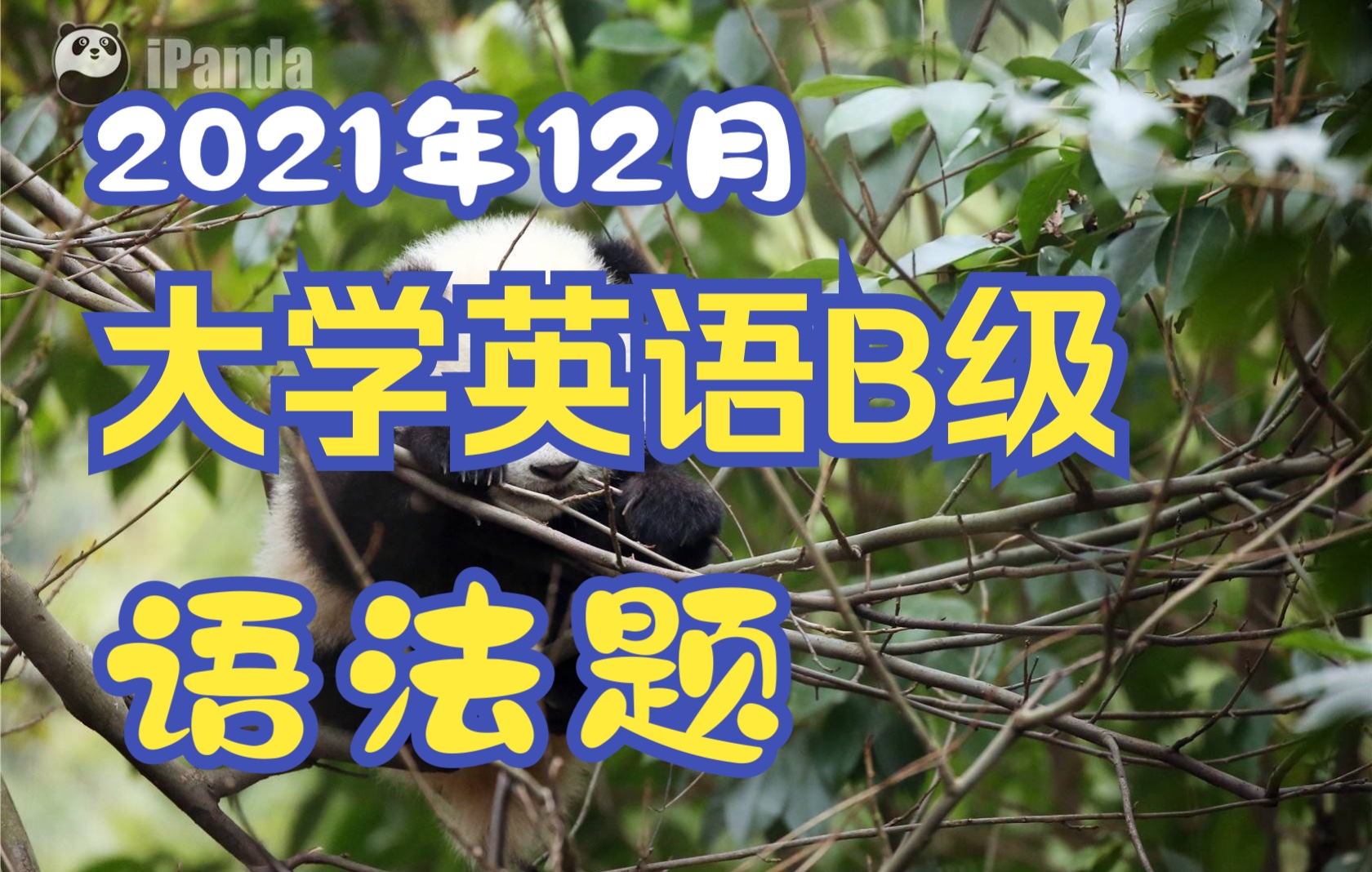 2021年12月大学英语应用三级B级真题解析 语法结构 语法单项选择题Section A 语法填空 Section B 真题见评论置顶 其他见收藏夹或合集哔哩哔哩bilibili