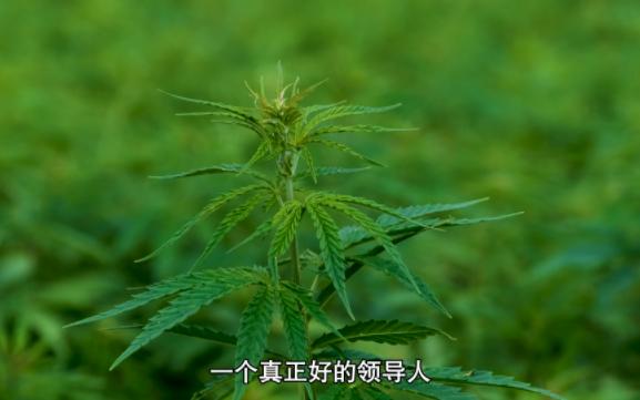 [图]历史的经验-14