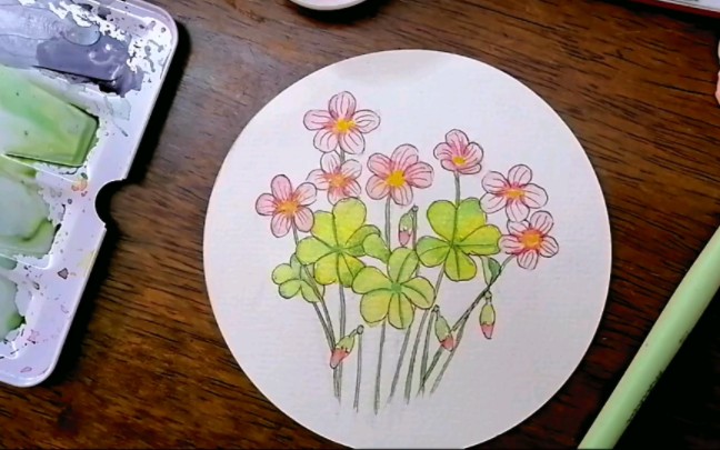 手绘水彩花卉酢浆草