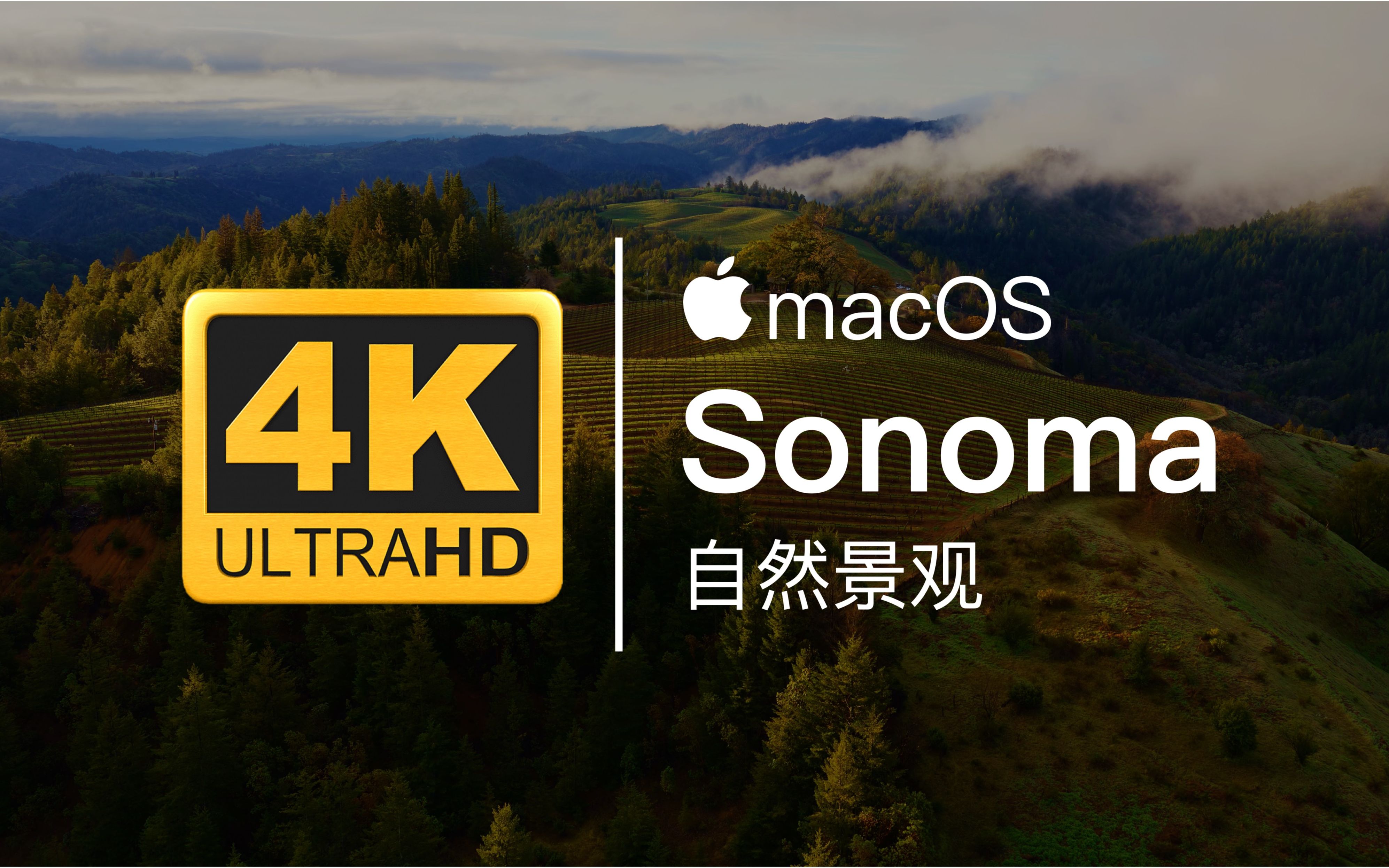 【4K】macOS Sonoma壁纸  自然景观(4K 240FPS)附下载哔哩哔哩bilibili