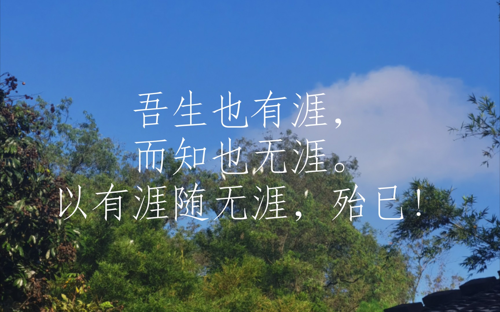 [图](养生主/庄子/[先秦/战国]庄周)