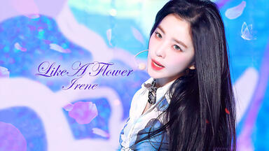 4K中字】Red Velvet 裴珠泫(Irene) - Like A Flower 十年等待花