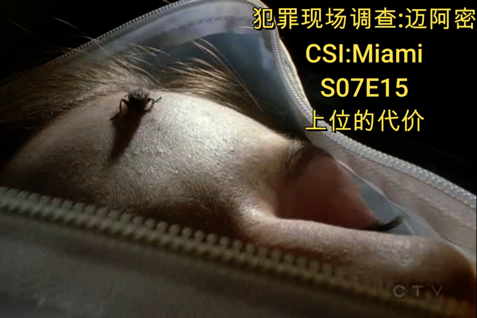 [图]【犯罪现场调查:迈阿密】CSI:Miami S07E15 上位的代价 俱乐部勾房产商,心机女被杀人栽赃; 出轨男为所欲为,裁律师终阴沟翻船.