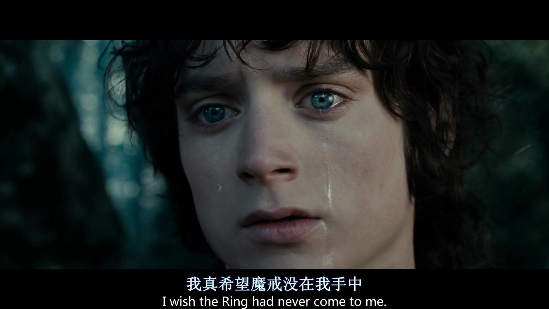 如果你也喜欢弗罗多,我就喜欢你