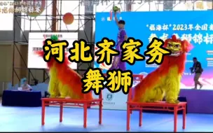 Download Video: 齐家务乡隆儿庄舞狮，修复它的上一任老师傅已经去世多年，再次修补时已经破损很多，几乎成jue 版