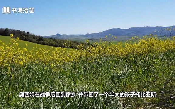 好书解读:《海蒂》作者【瑞士】约翰娜ⷮŠ斯比丽 【书海拾慧】哔哩哔哩bilibili