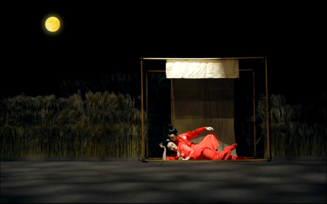 视频预告七夕节双人舞剧照分享仙风舞馆送给粉丝们的小礼物编导舞者仙