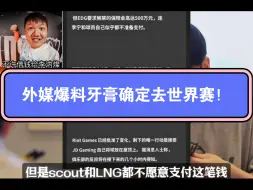 Descargar video: 现在大家都只关心yagao能不能代替Scout去世界赛，但是居然没人质疑yagao到底能不能Carry以Scout为核心的LNG？！