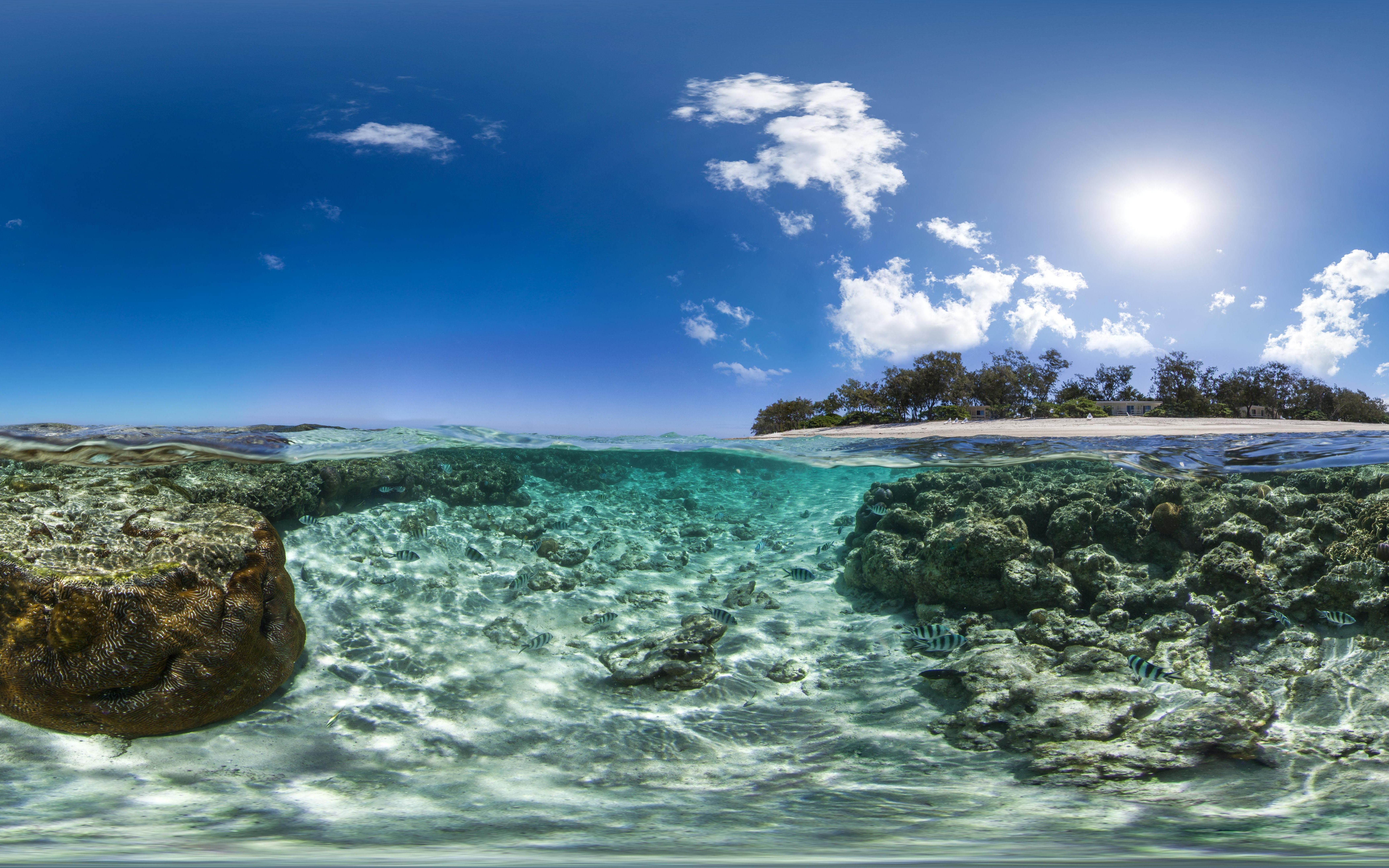 试一下b站能不能投8k视频