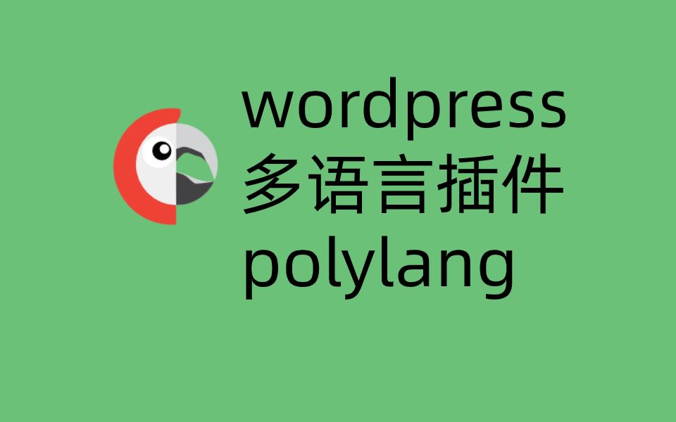 wordpress多语言网站polylang插件入门介绍哔哩哔哩bilibili