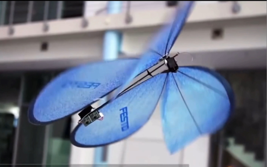 人类科技树分支:仿生科技—1蝴蝶