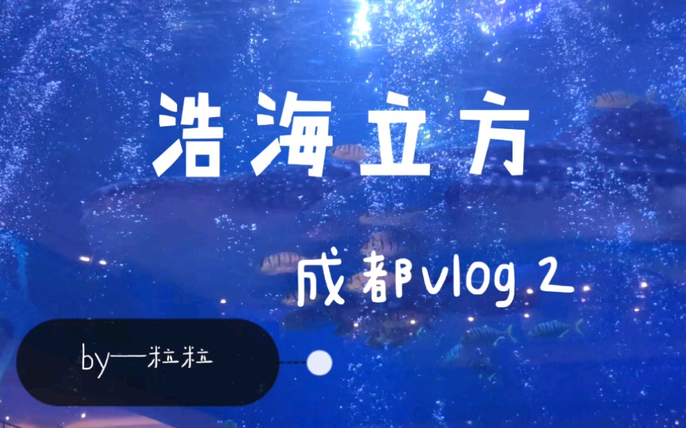 【成都vlog2浩海立方】哔哩哔哩bilibili