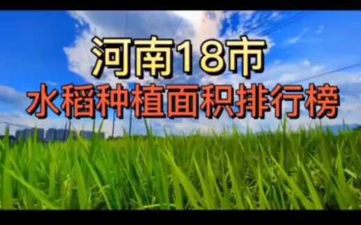 河南18省辖市水稻种植面积排行榜,信阳第一,南阳第二,驻马店第三!哔哩哔哩bilibili