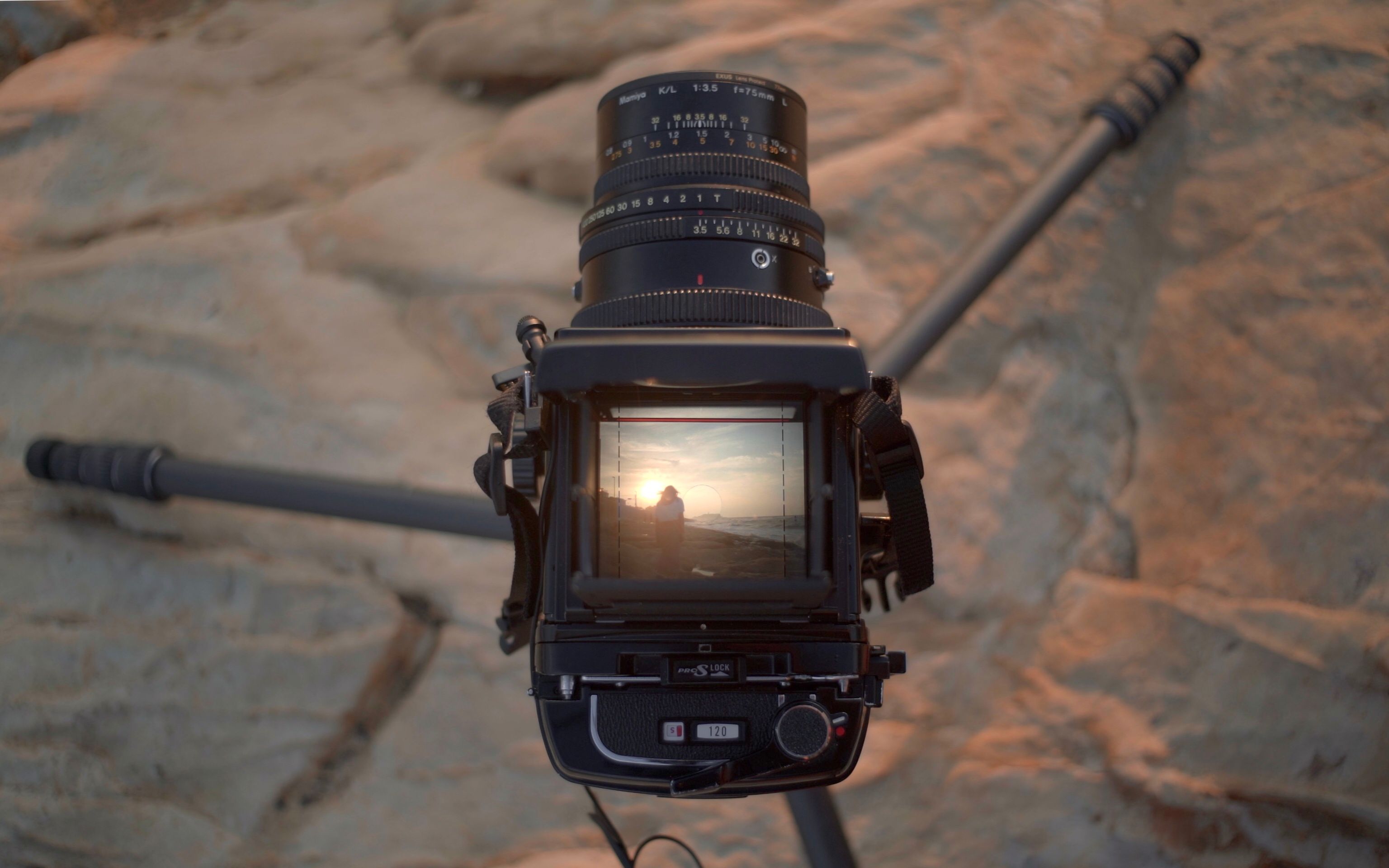 mamiya rb67最详细入坑指南-你属於野花-学习-哔哩哔哩视频