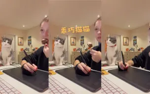 下载视频: 好乖好乖的小猫咪呀