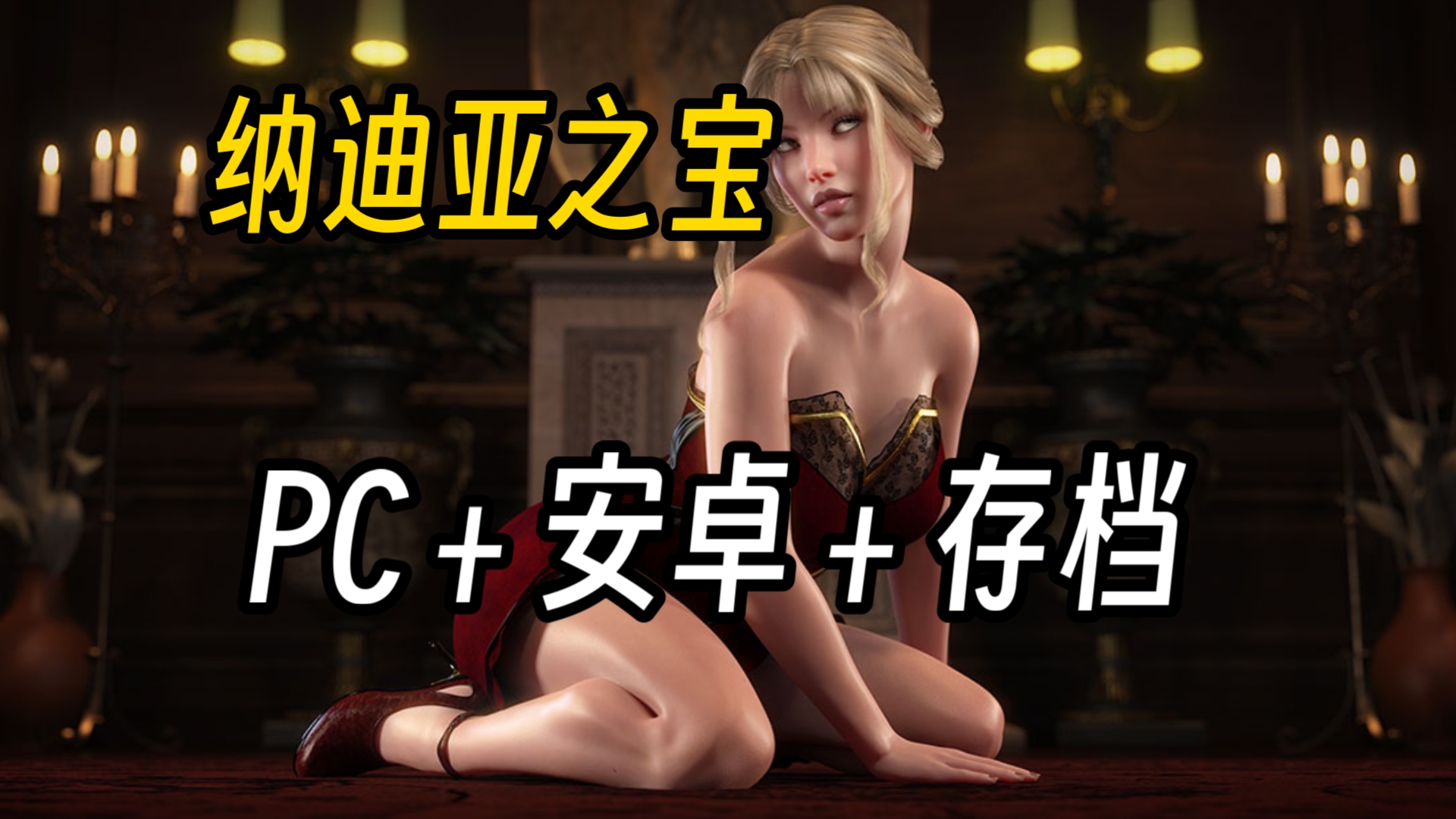 纳迪亚之宝v1.0112完结版【pc 存档 安卓】