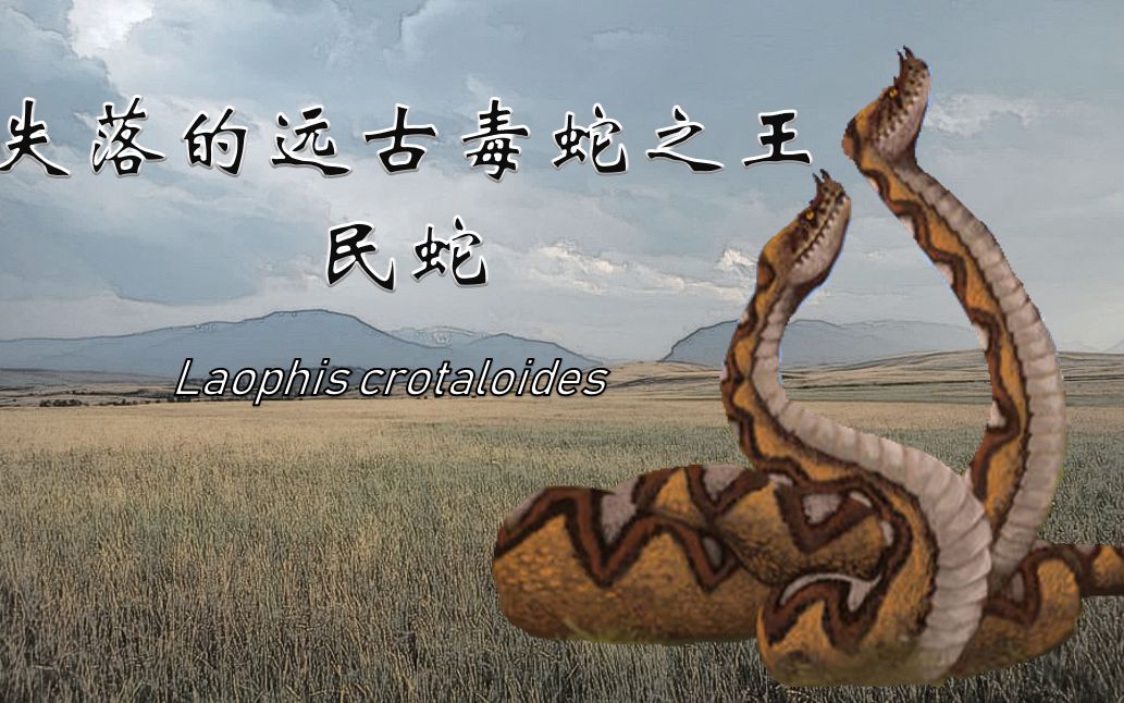 御灵苑蓝星物语失落的远古毒蛇之王民蛇