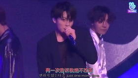 中韩双语 金泰亨名言 哪怕是为了喜欢我的那些人我也要努力 哔哩哔哩 つロ干杯 Bilibili