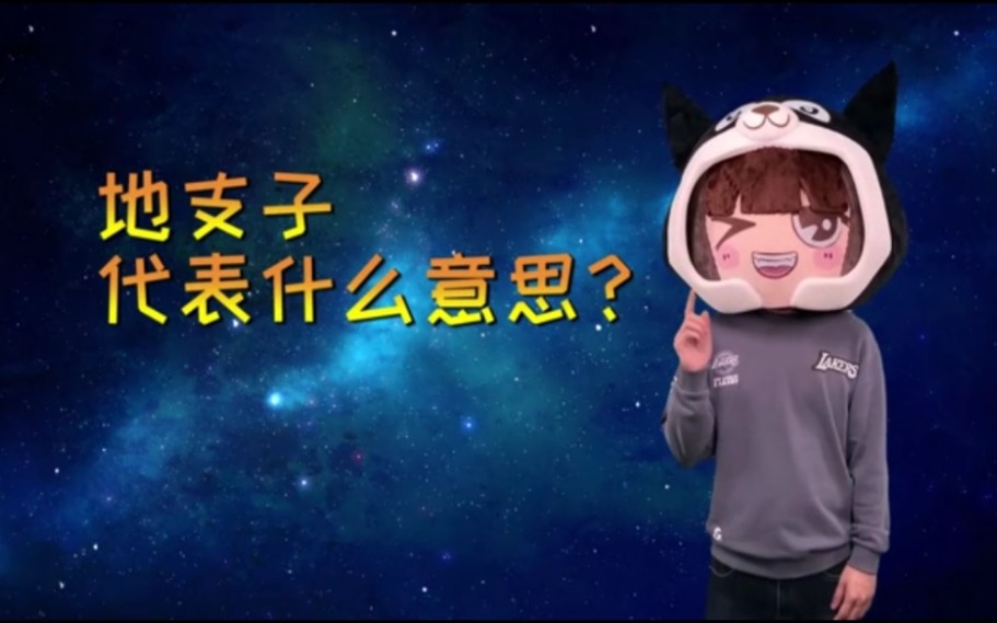 八字地支子代表什么?有什么寓意?哔哩哔哩bilibili