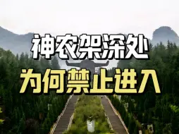 Download Video: 神农架传闻四起，禁地至今仍未开放，里面有什么不为人知的东西？