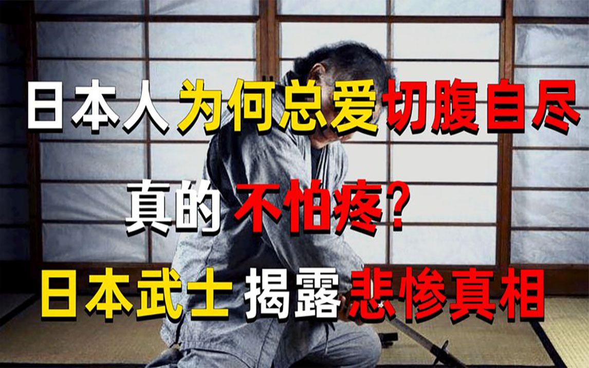 日本人战败就切腹自尽?他们真的不怕疼?日本武士揭露切腹真相哔哩哔哩bilibili