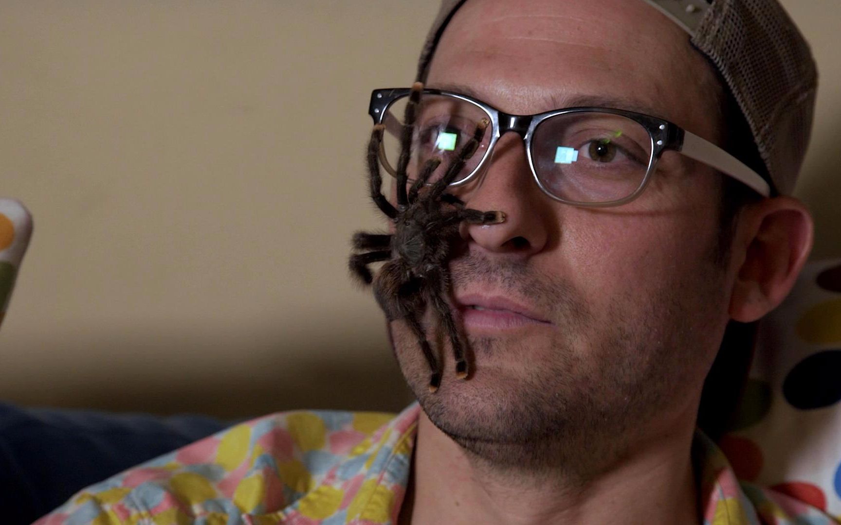 脸上养蜘蛛大蛇当项链戴美国奇男子在家玩动物总动员