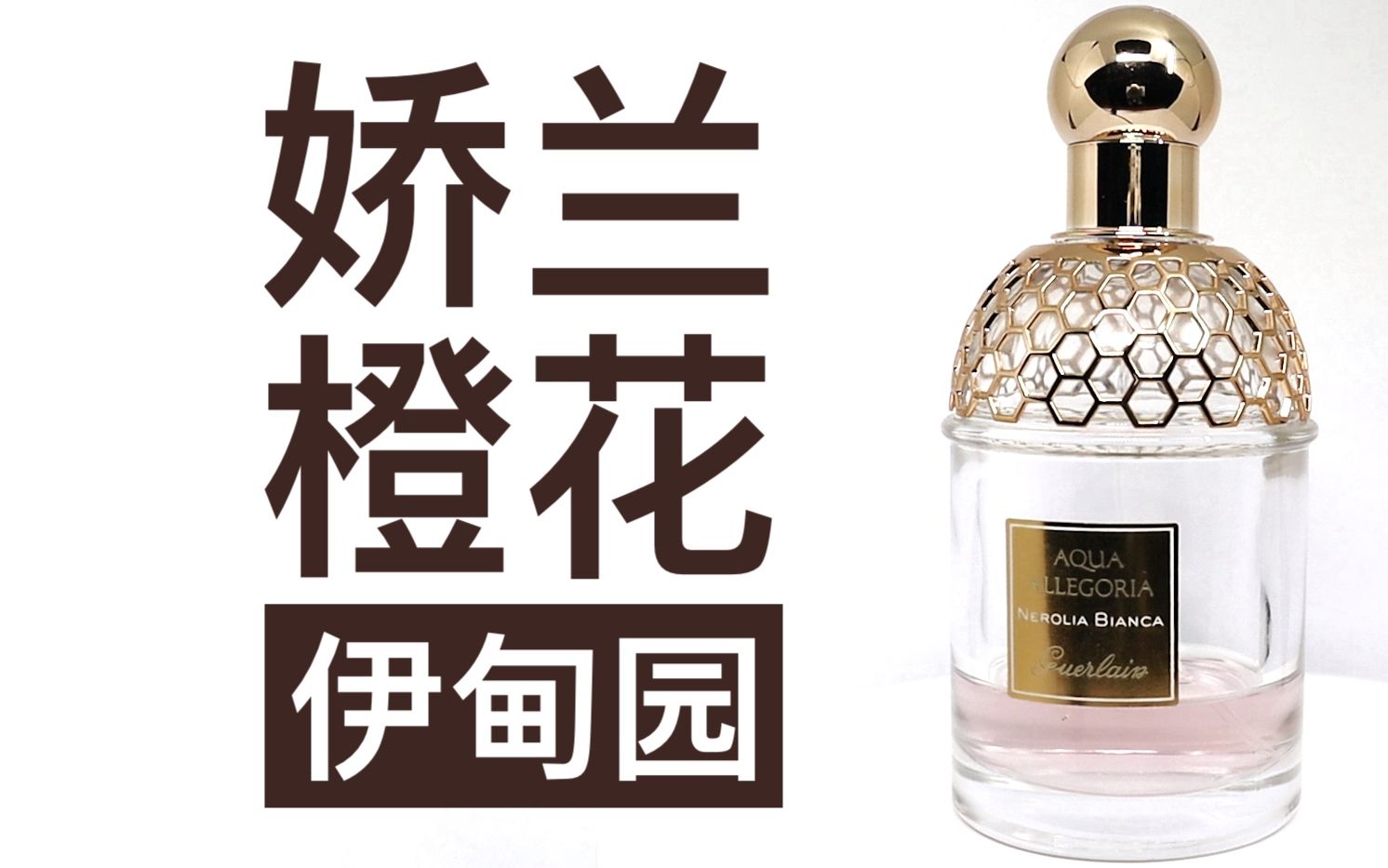 【香水简评】橙皮肥皂香水!娇兰 花草水语橙花伊甸园 Guerlain Aqua Allegoria Nerolia Bianca哔哩哔哩bilibili