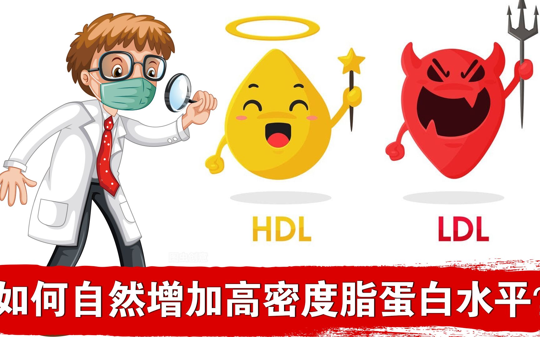 如何增加HDL高密度脂蛋白?哔哩哔哩bilibili