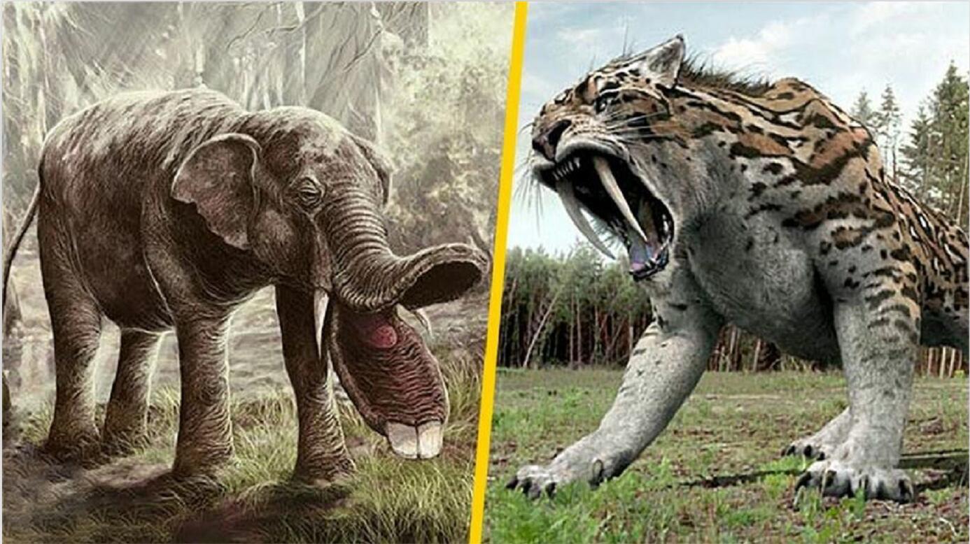 嘴巴像铲子的大象?牙齿28厘米长的老虎?幸好它们已经灭绝了!