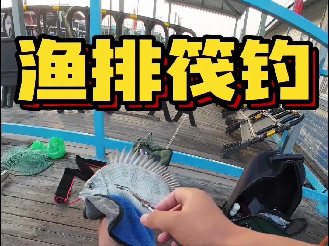 海南最具特色的筏钓,筏钓黑鲷