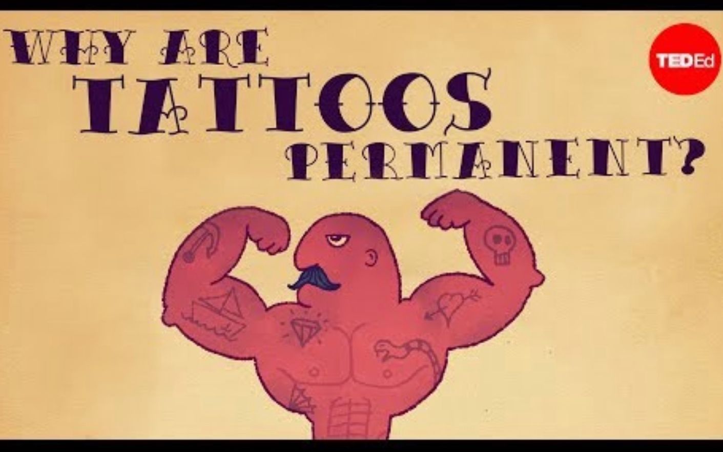 [图]【Ted-ED】为什么纹身是永久性的 What Makes Tattoos Permanent