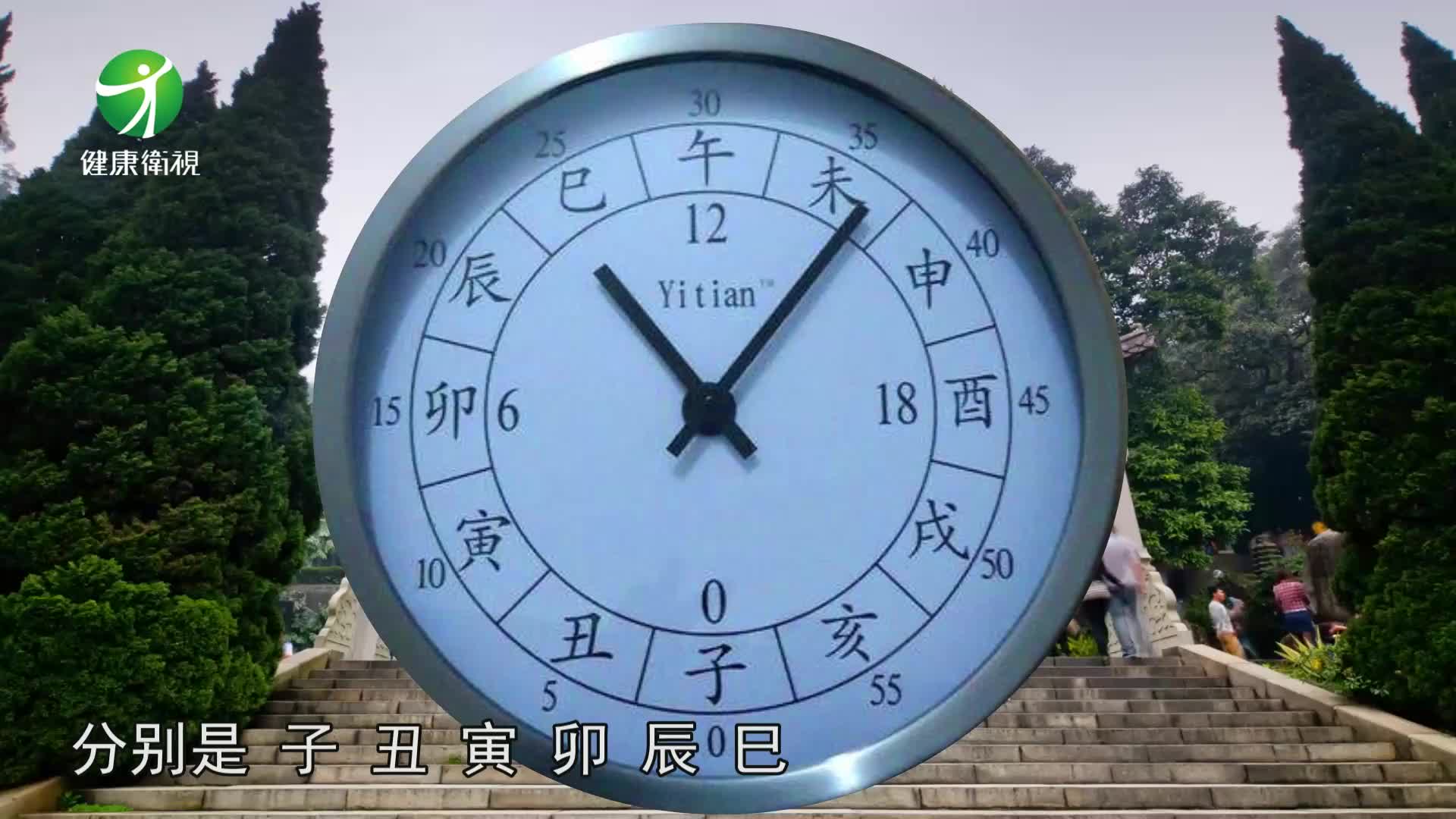 [图]十二时辰养生法，你都做对了吗？《中医院》