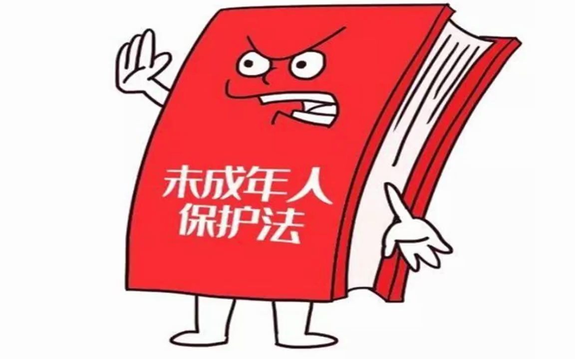 中华人民共和国未成年人保护法哔哩哔哩bilibili