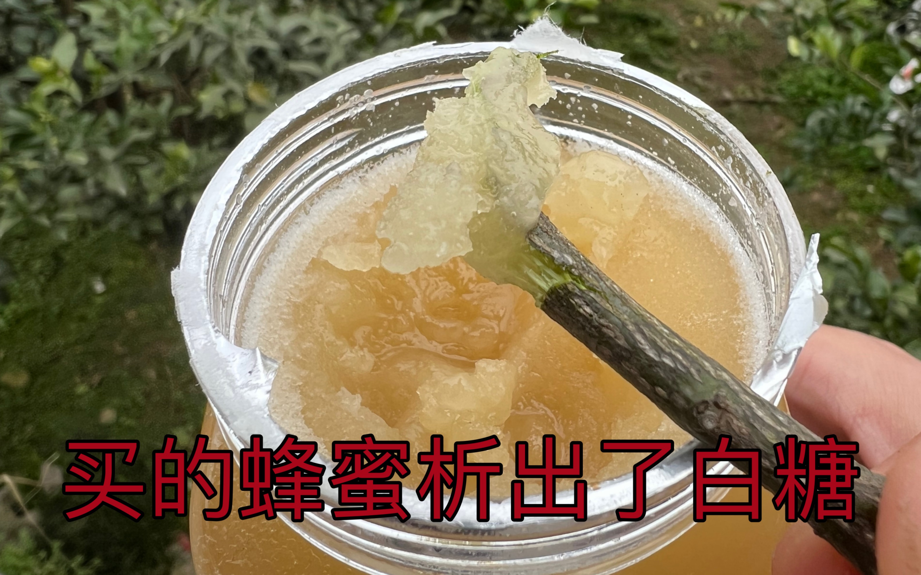 [图]温暖的冷风！你的蜂蜜现形了！看你怎么狡辩