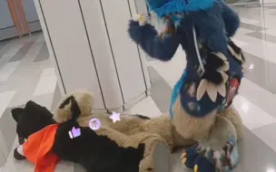 Download Video: 【fursuit兽装】新片尾这不就来了