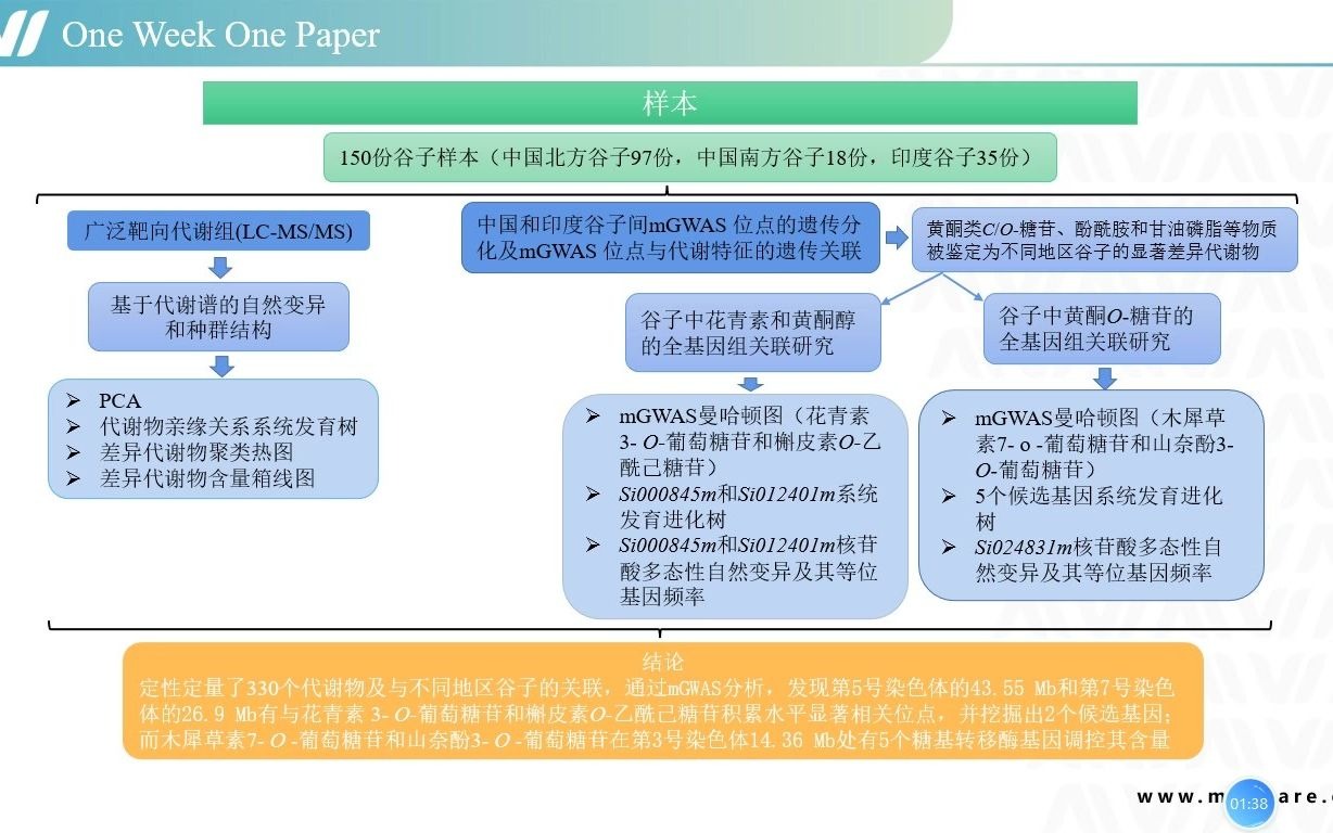 【项目文章】基于代谢组的全基因组关联研究为谷子的自然变异提供了遗传学见解——迈维代谢哔哩哔哩bilibili