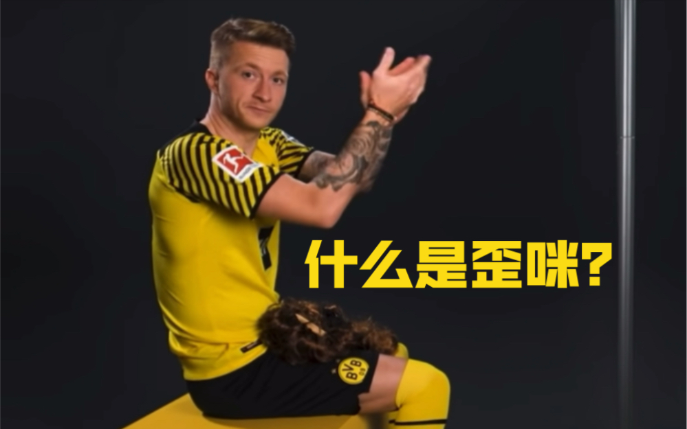 Reus|什么是歪咪?哔哩哔哩bilibili