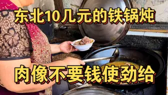 东北10多元的铁锅炖你见过吗？肉像不要钱一样使劲给