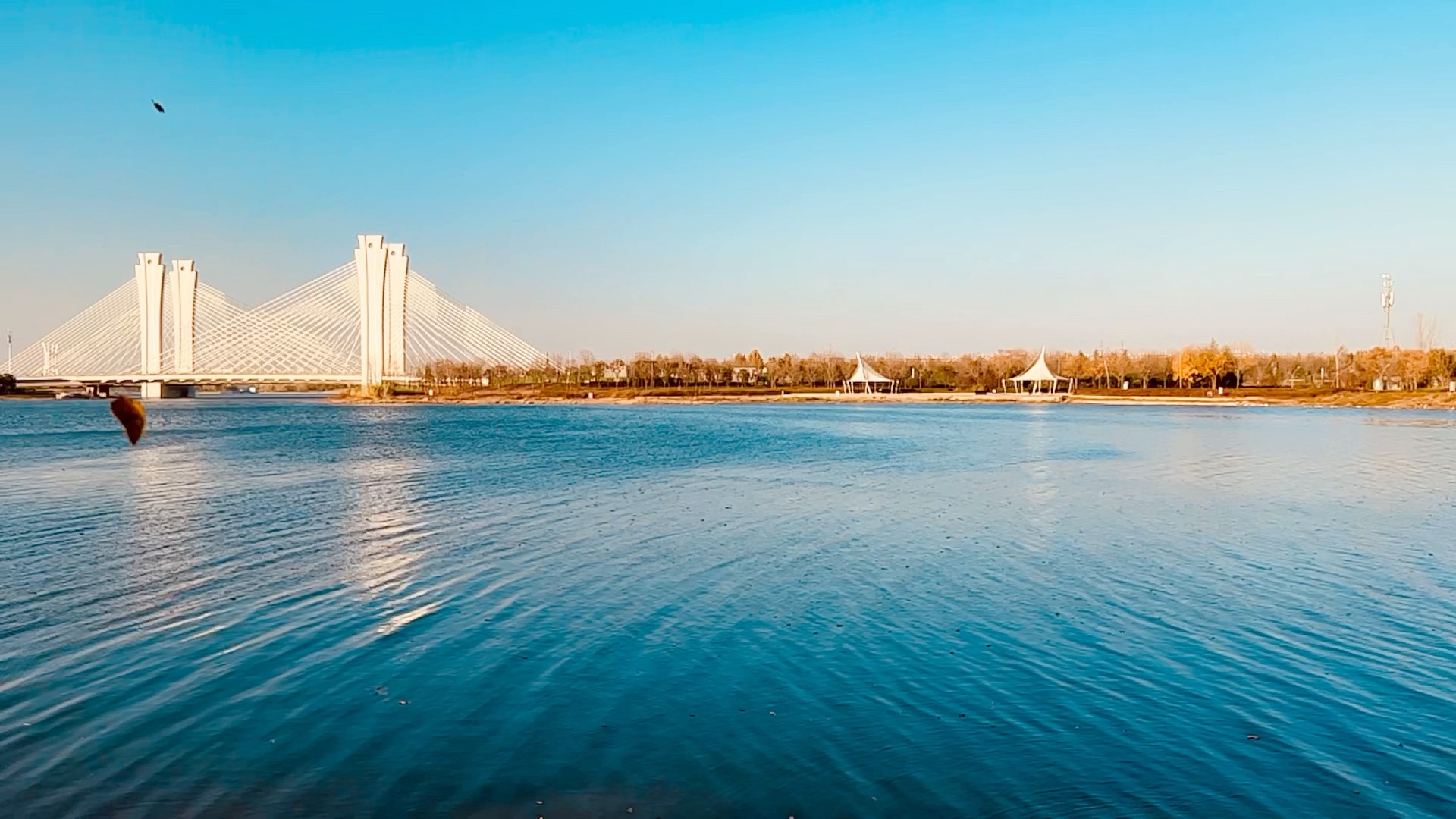 新郑州这景色如何