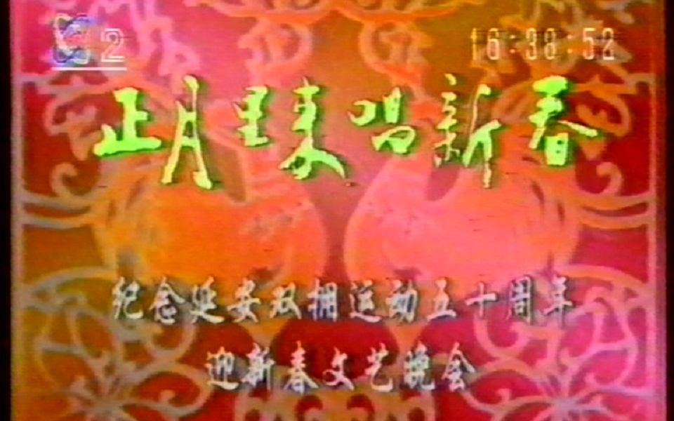 [图]1993.1 毛阿敏 大车轮 正月里来唱新春 纪念延安双拥运动五十周年 迎新春文艺晚会