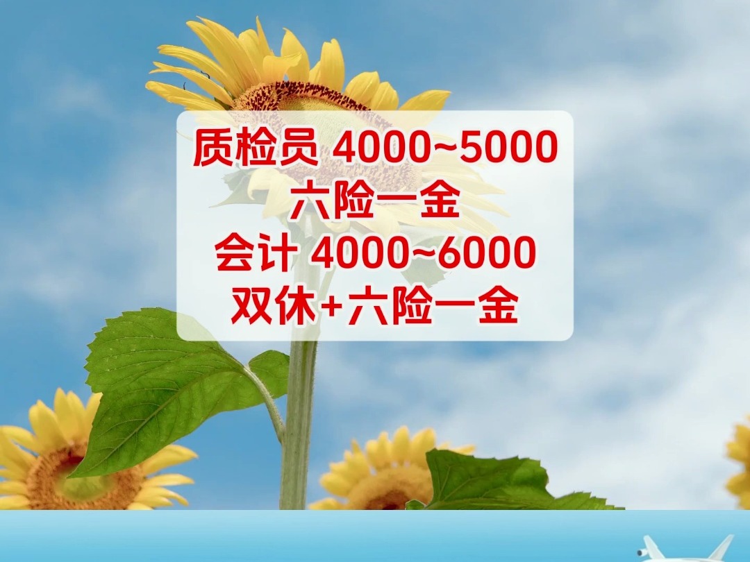 韶关市粤森生物质燃料有限公司,招聘质检员、会计,提供食宿、五险一金、餐补、年假、年终奖等,#韶关#韶关人才在线#找工作#2025哔哩哔哩bilibili