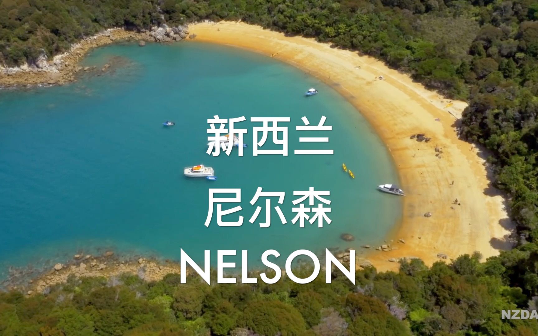 新西兰 尼尔森 Nelson 尼尔森房价哔哩哔哩bilibili