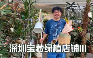 Download Video: 深圳宝藏绿植店，除了绿植还有高颜值家居