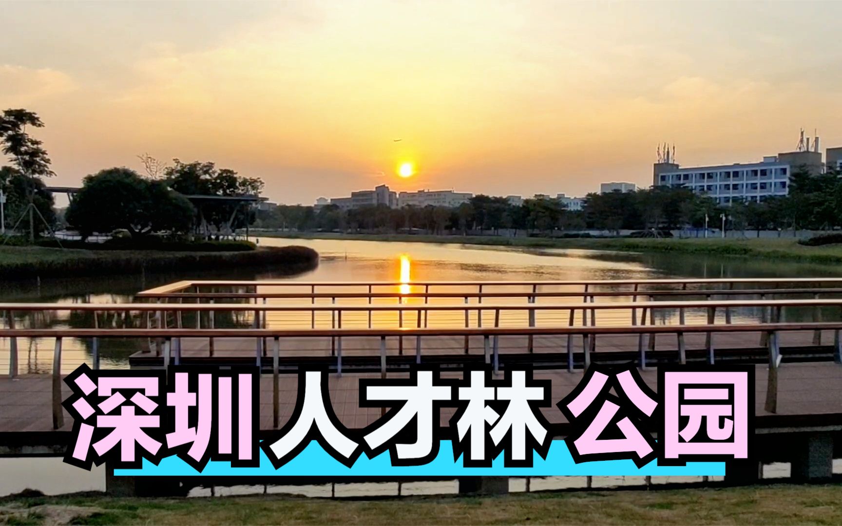 位于宝安第一山脚下又一个公园开园啦凤凰山人才林公园
