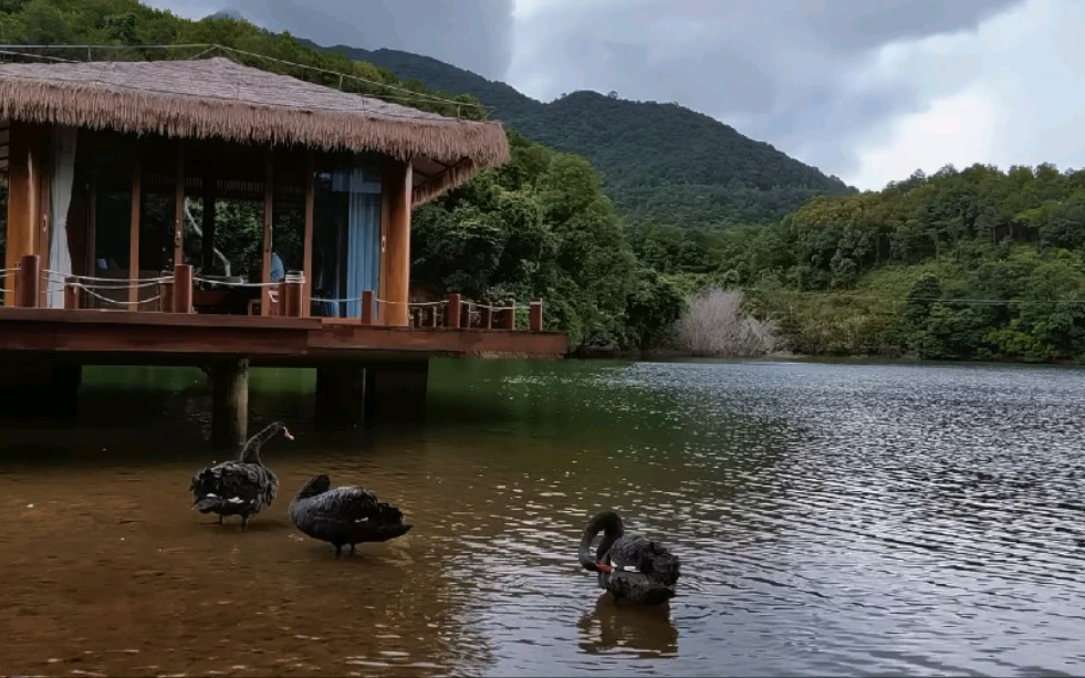 延祥古寺天心湖哔哩哔哩bilibili